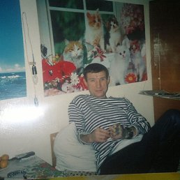 , 61 , 