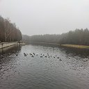 ���� �����, �������� - ��������� 17 ������� 2025