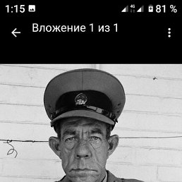 berg, 55 ���, ���������