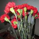 ���� �, ������������, 61 ��� - ��������� 28 ������� 2025 � ������ ���� ����������