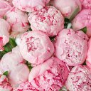 ���� �����, �����, 32 ���� - ��������� 5 ������ 2024 � ������ ���� ����������