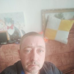 , 40, 