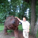 ���� Ҹ�, ������, 49 ��� - ��������� 11 �������� 2025