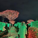 ���� �������, ��������� - ��������� 3 ������ 2026 � ������ ���� ����������