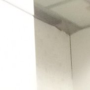 �����, 48 ���, �����������