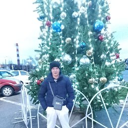 ������, ��������, 41 ���