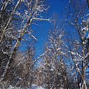 ���� �����, ������������, 52 ���� - ��������� 12 ������ 2025 � ������ ������ ��������