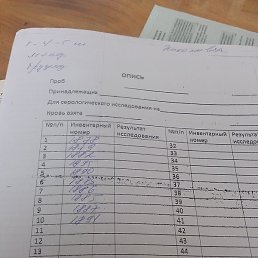 ��������, ����, 69 ���