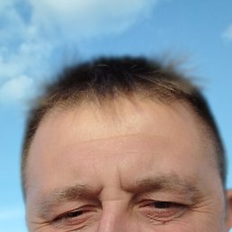 , 41, 