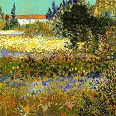     (Vincent van Gogh; 1853-1890).
" " (Flowering garden), 1888 .