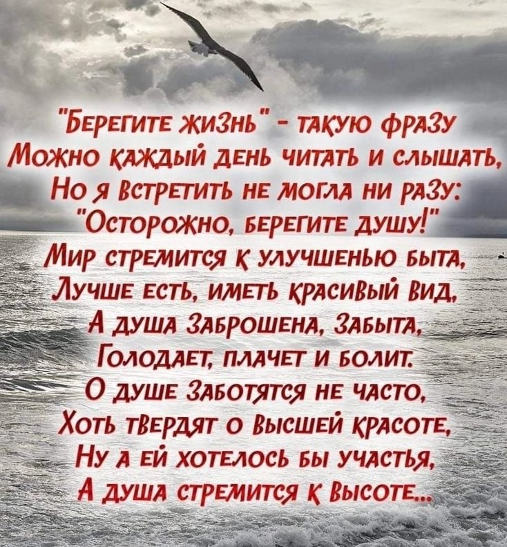   ,    . - 2  2025  16:12
