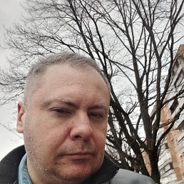 �������, 37 ���, ������