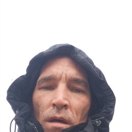 , 37, 