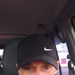 �����, 38 ���, ����������