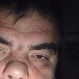 �������, �������, 47 ���