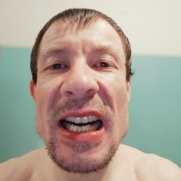 ������, ������������, 44 ����