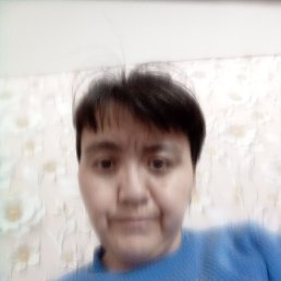 ������, 37 ���, ������