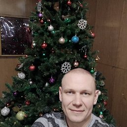 , 41, 