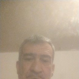 , 51 , 
