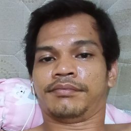 Medy, �������, 33 ����