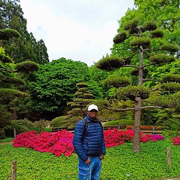 Itopa (Big John), �������, 51 ���