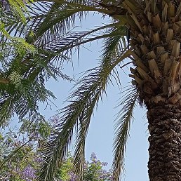 �����, ��������, 50 ���