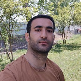 , 33, 