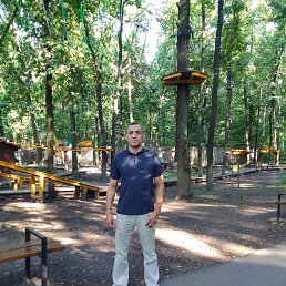 ������, 46 ���, ���������