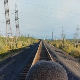 , 41, 