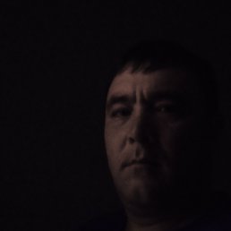 , 40, 