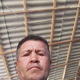, 48, 