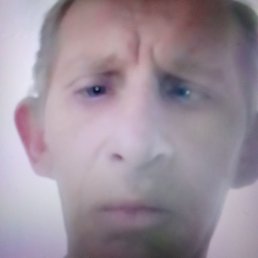 ������, ������, 49 ���