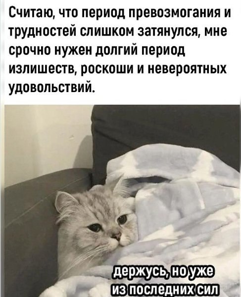   - 4  2025  22:43