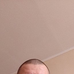 , 38, 