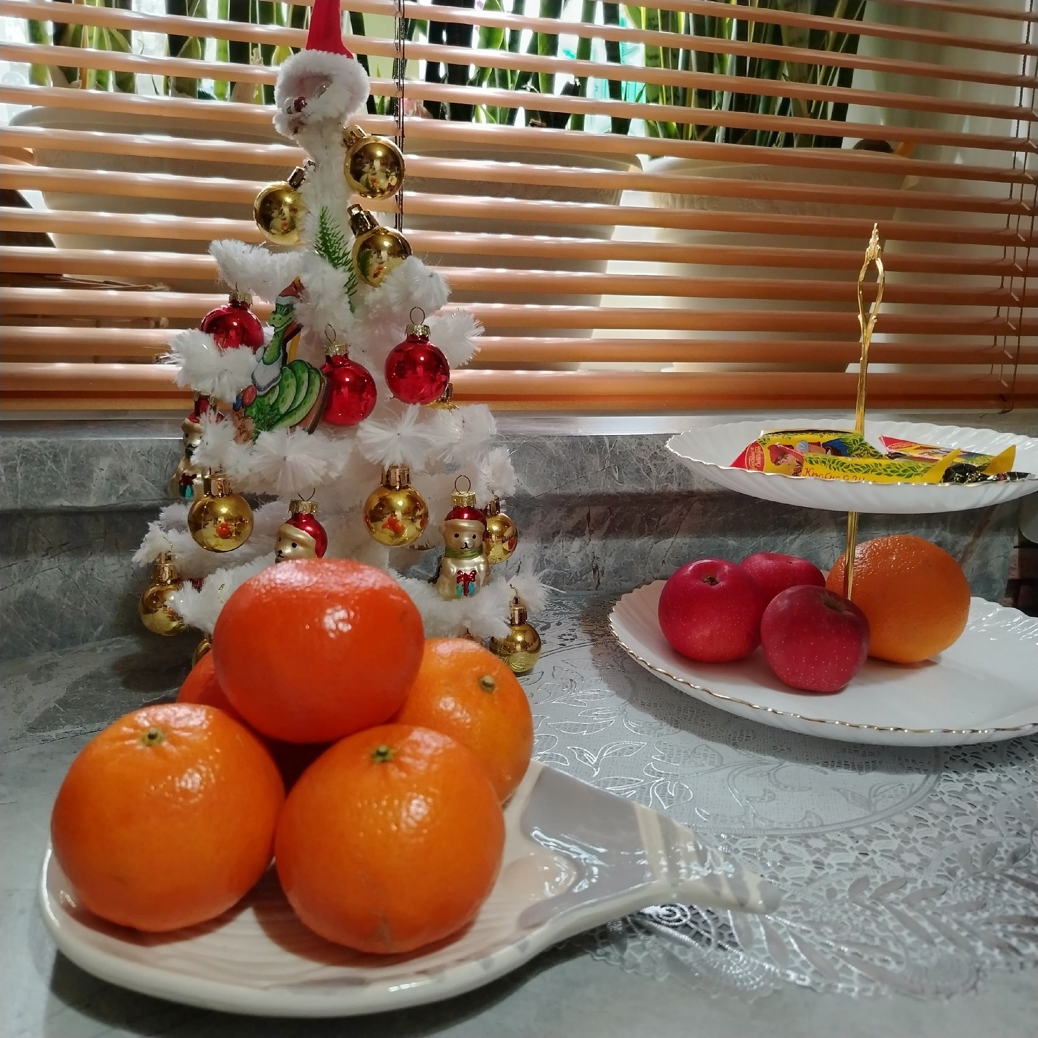 � ���� ����������