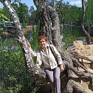 ������, 62 ����, ���������