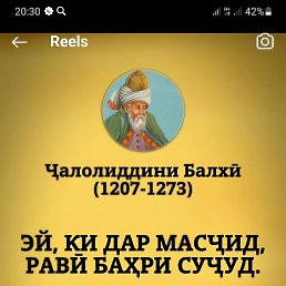 ���� �����, �������, 36 ��� - ��������� 10 ����� 2024