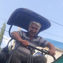 , 54, 