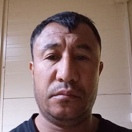 ����, ������, 41 ���