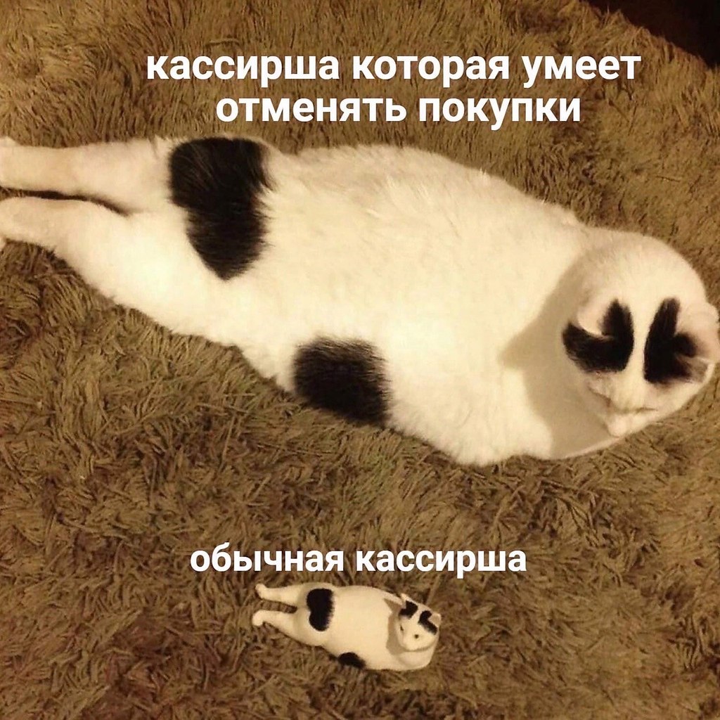    - 28  2023  13:36