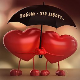 ����, �����������, 39 ���