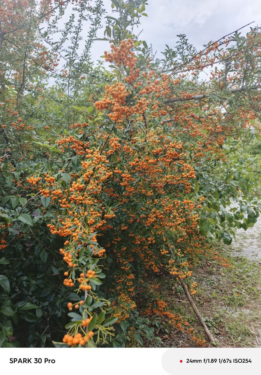     - ,    , , .   ... - 3