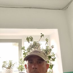 , 49, 