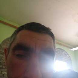 , , 44 