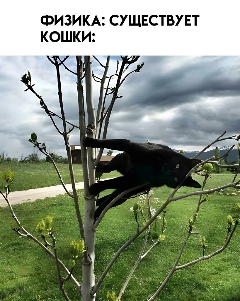      - 8