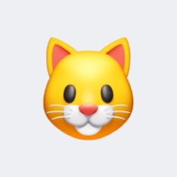 ���� ������, ����� - ��������� 17 ������� 2026