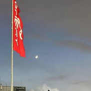 ���, 56 ���, ������������