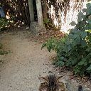 ���� �����, ������, 46 ��� - ��������� 13 ������ 2025 � ������ ������ ��������