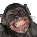 ���� ������� ����, ���������, 19 ��� - ��������� 9 ������� 2024