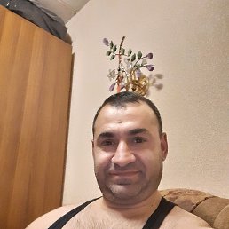 , 41, 